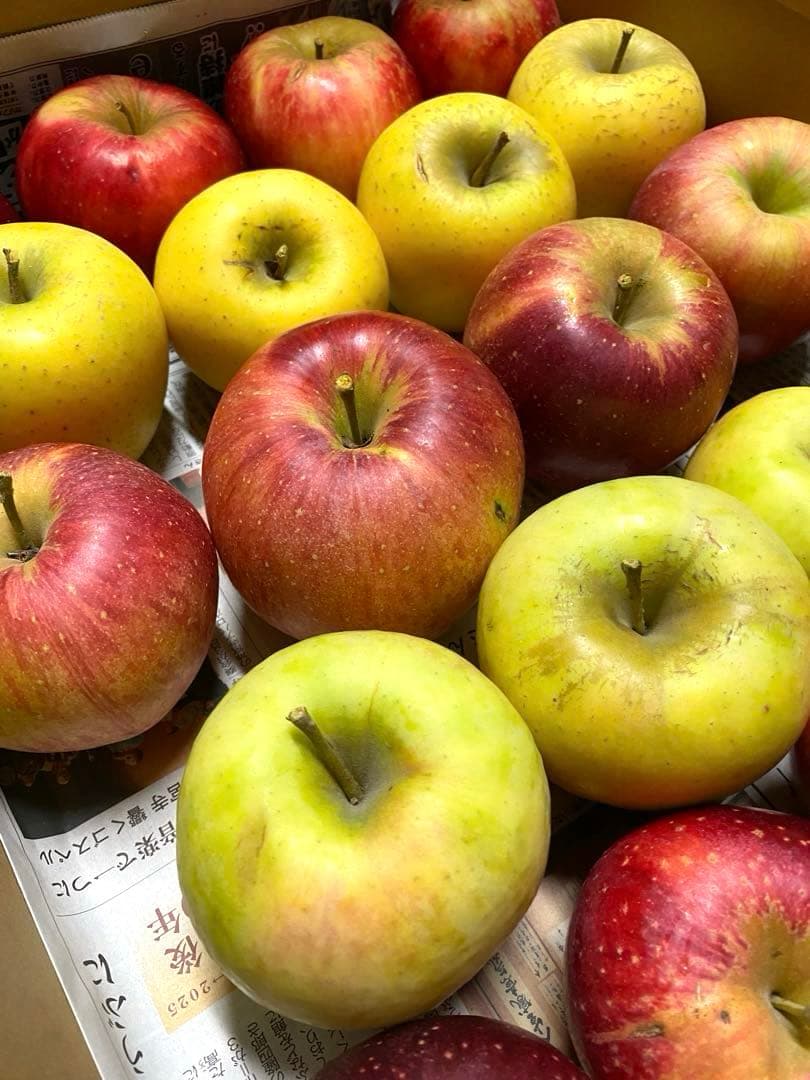 piyo リンゴ いろいろ 15kg