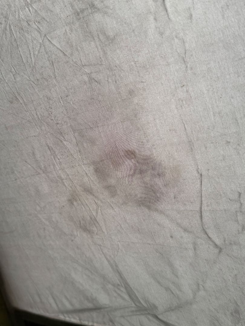 Coleman タスマン3　Tasman3 ドーム型キャンプテント グリーン