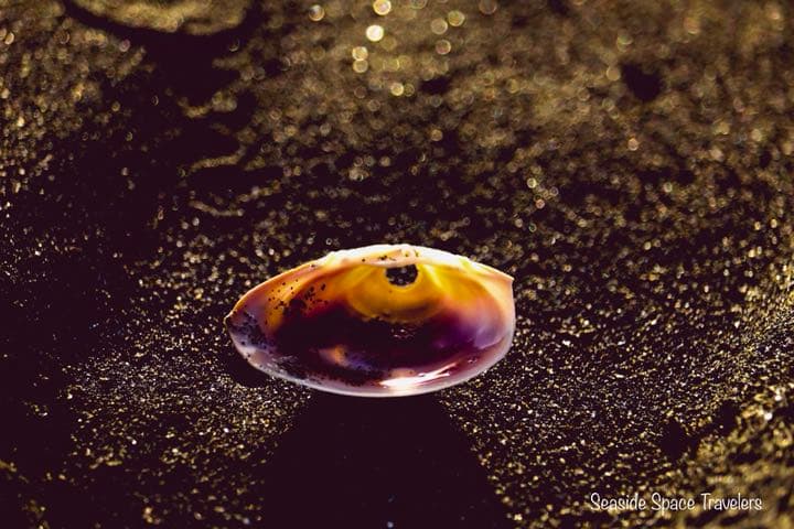 アートパネル フォトパネル アクリル A3サイズ