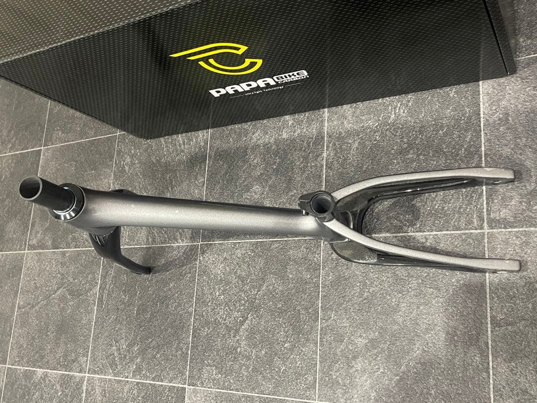 PAPABIKE TESLA パパバイク　テスラ　カーボンフレーム