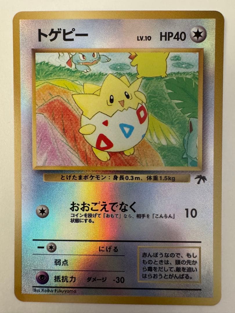 ポケモンカード　映画公開記念パック　サザンアイランド　旧裏　9枚セット　希少