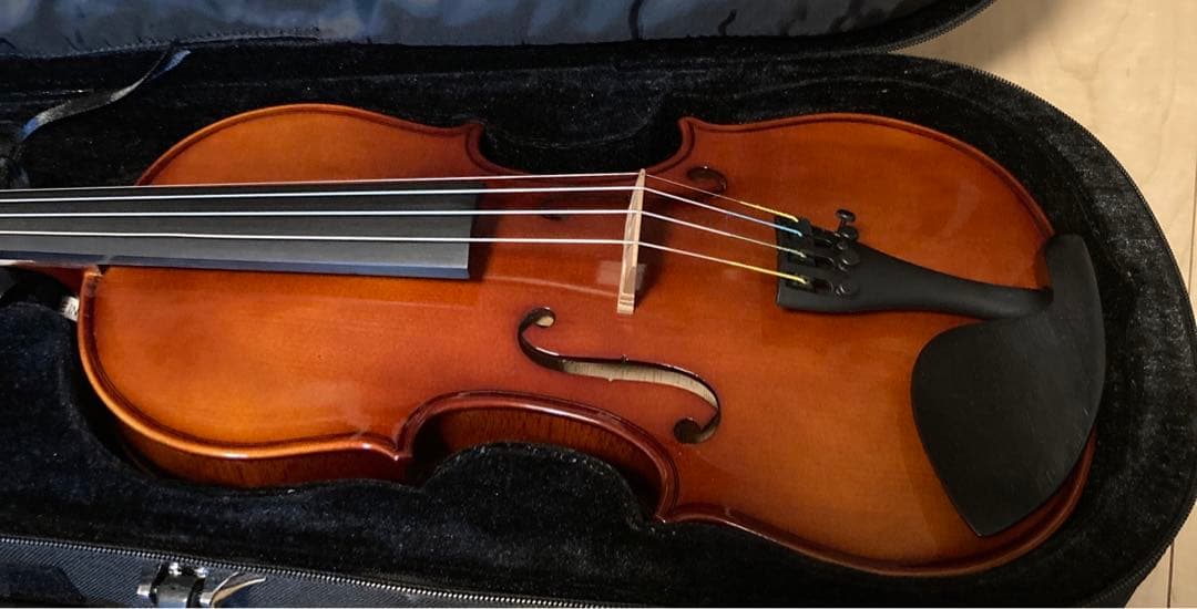 10/13までの価格！カルロジョルダーノバイオリンVS-14/4サイズ