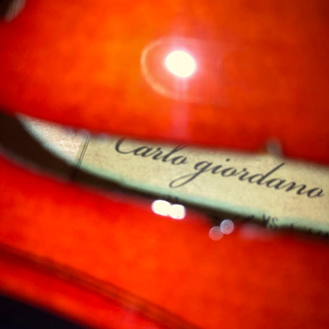 10/13までの価格！カルロジョルダーノバイオリンVS-14/4サイズ