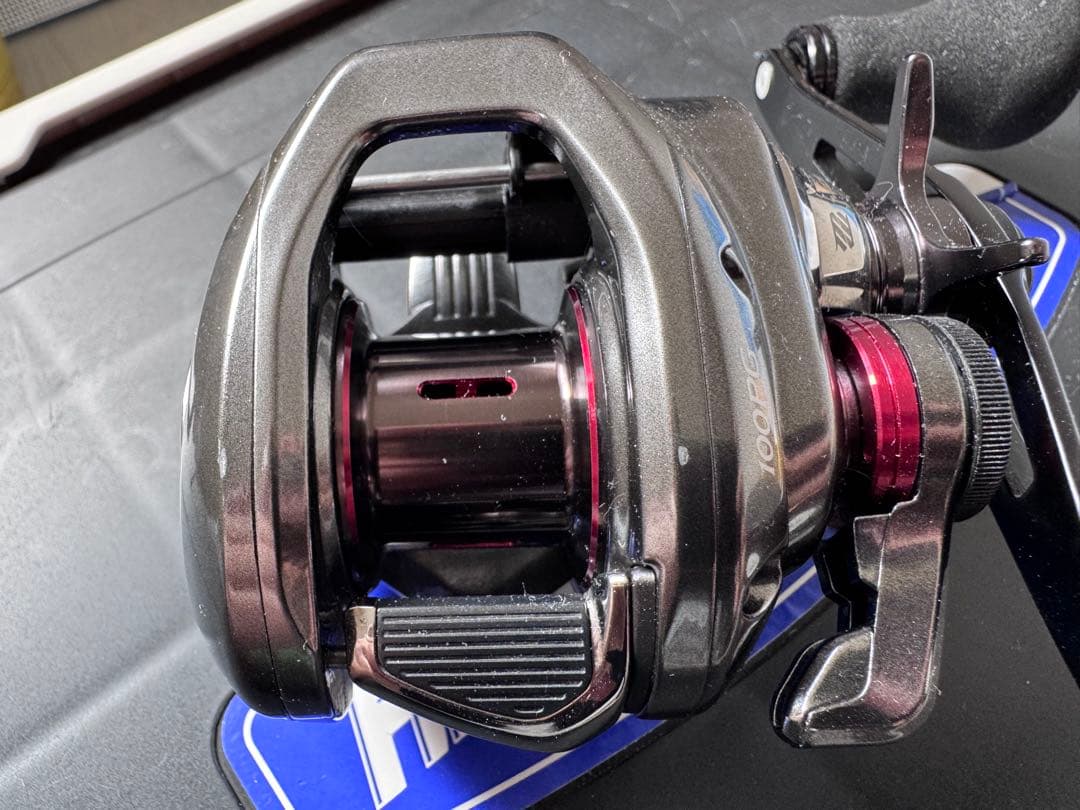 namicyan1212　21 炎月 100PG 炎月　タイラバ