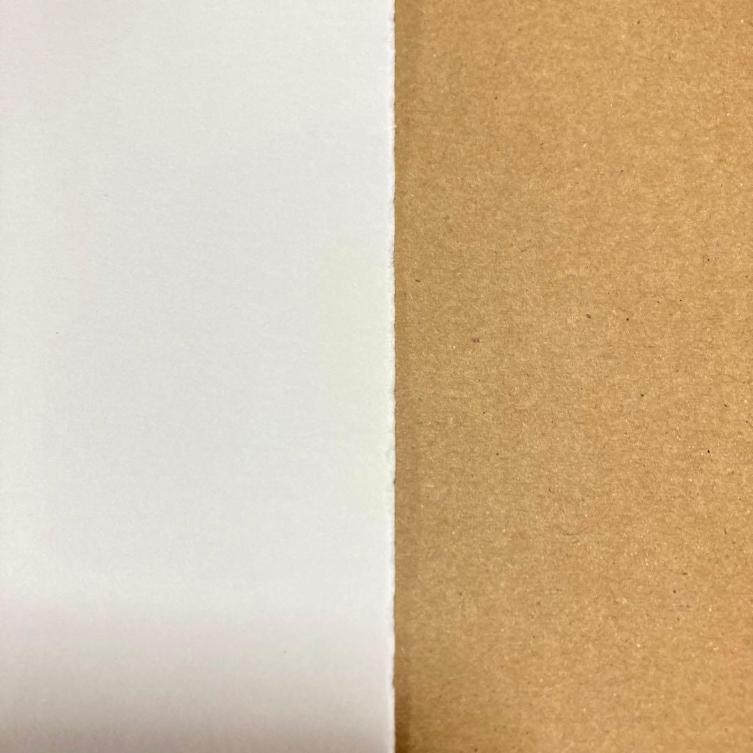 【真作保証】サルバドール・ダリ リトグラフ 直筆サイン エンボス印有り 版画