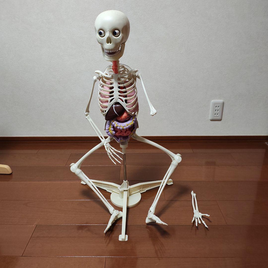 ホネッキーおしゃべりガイコツ全70巻