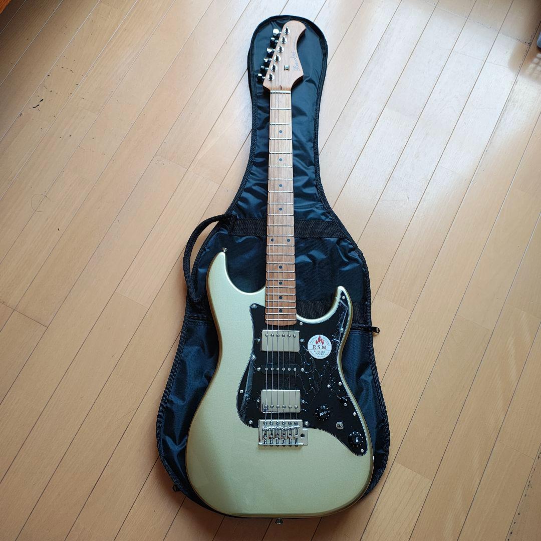 初売りセール　BACCHUS バッカス GS-4DX RSM　ステンレスフレット