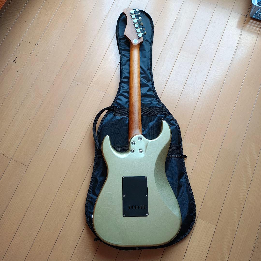 初売りセール　BACCHUS バッカス GS-4DX RSM　ステンレスフレット