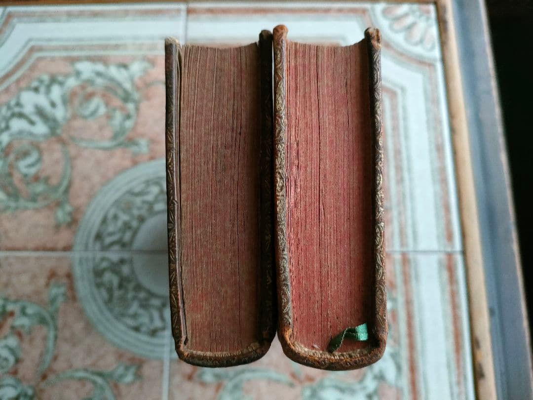 素敵なアンティーク本 2冊セット フランス ディスプレイ