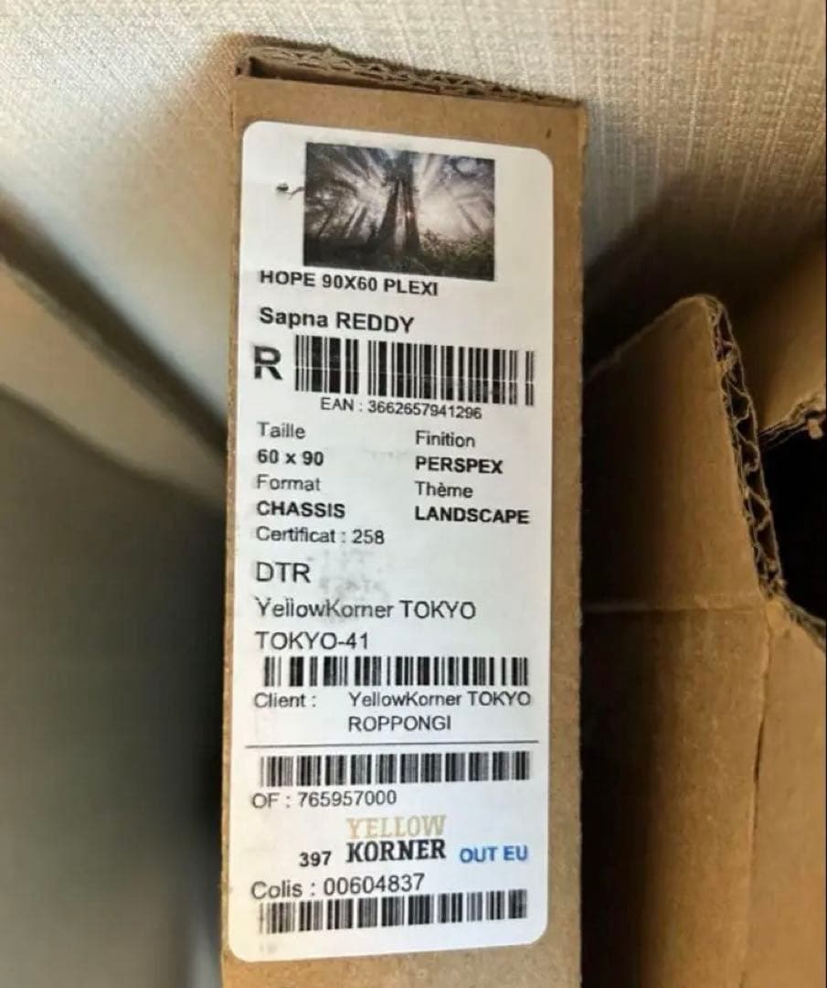 きーちゃん　YELLOWKORNER フォトアート