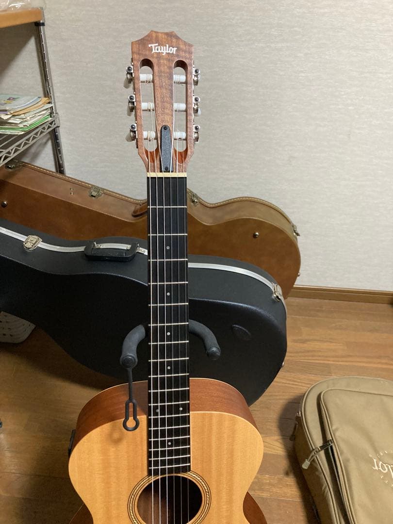 テイラーギター