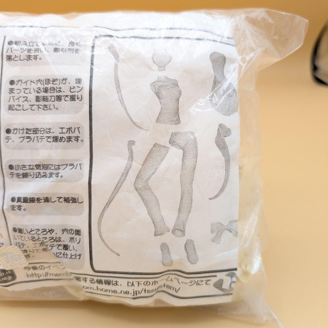 T's system ライダー ガレージキット Fate stay night