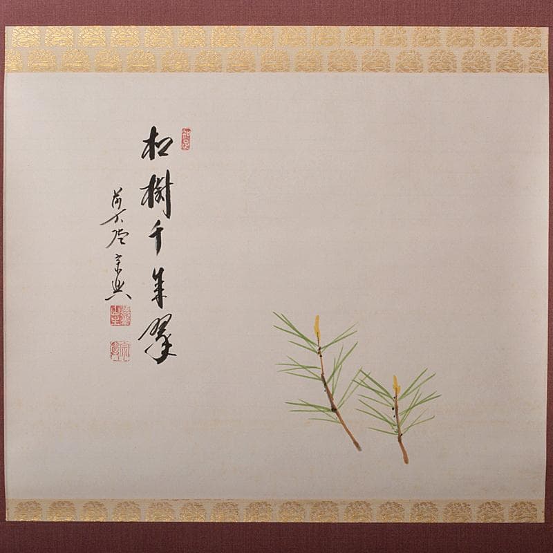 掛軸　前大徳　極楽寺主　西垣宗興　「松寿千手翠」　若松画　共箱　V　R5930B