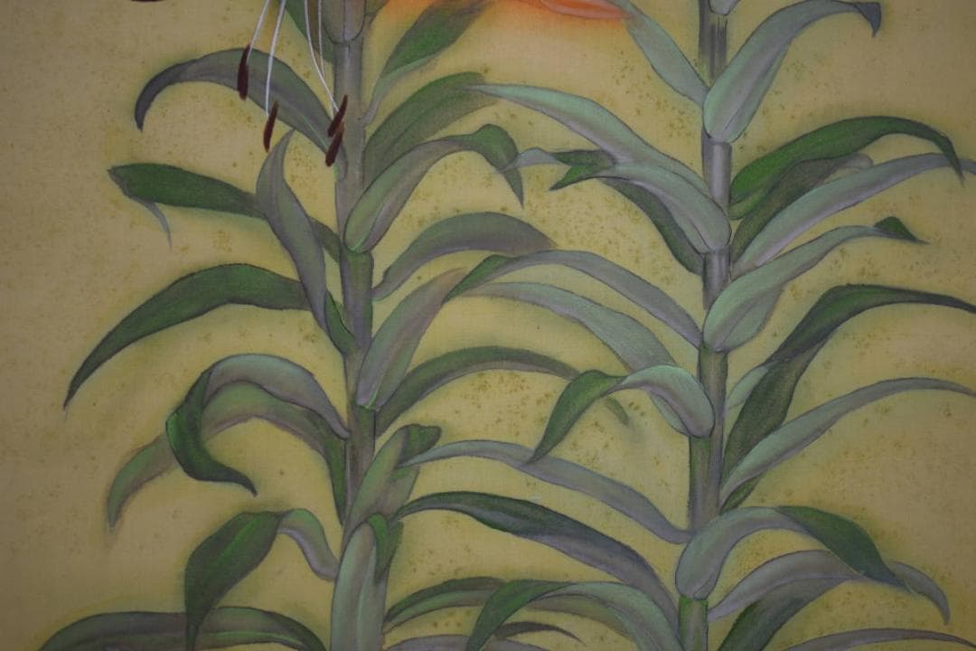 不詳/作者不詳/鉄砲百合/ユリ図/布袋屋掛軸HG-343