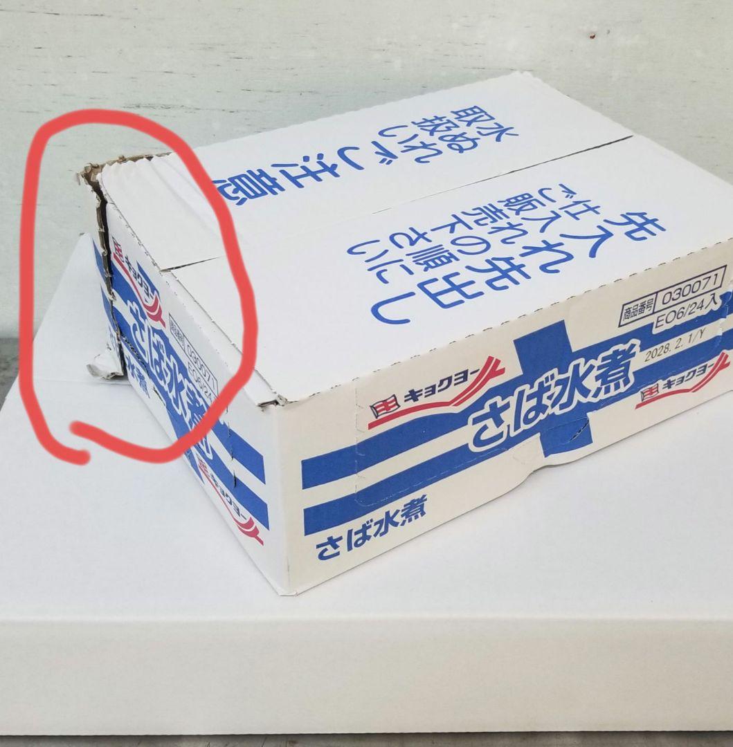 極洋 さば水煮 48缶セット 賞味期限2028年2月 缶詰 サバ缶 水煮 魚介類