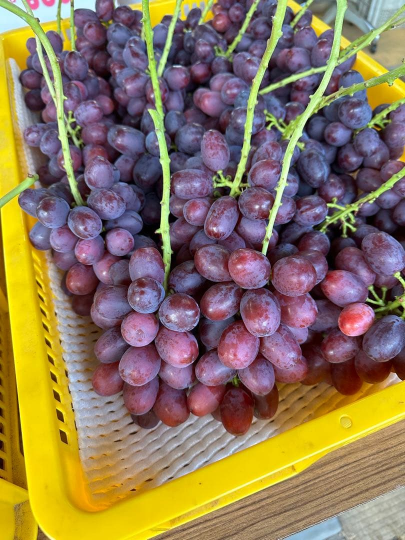 クイーンルージュ⭐︎箱別2キロ