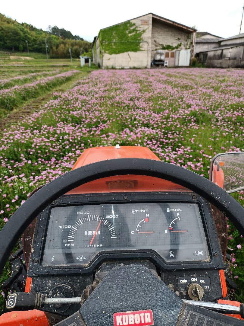 令和7年新米きぬむすめレンゲ米10キロ