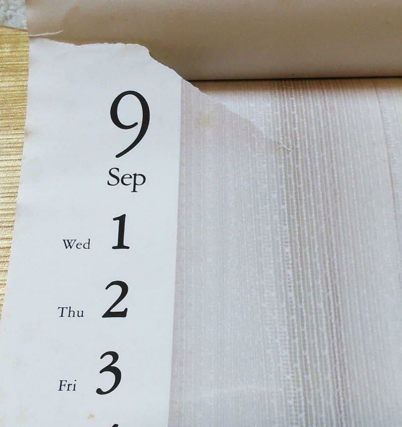 かとうれいこ 1993年カレンダー