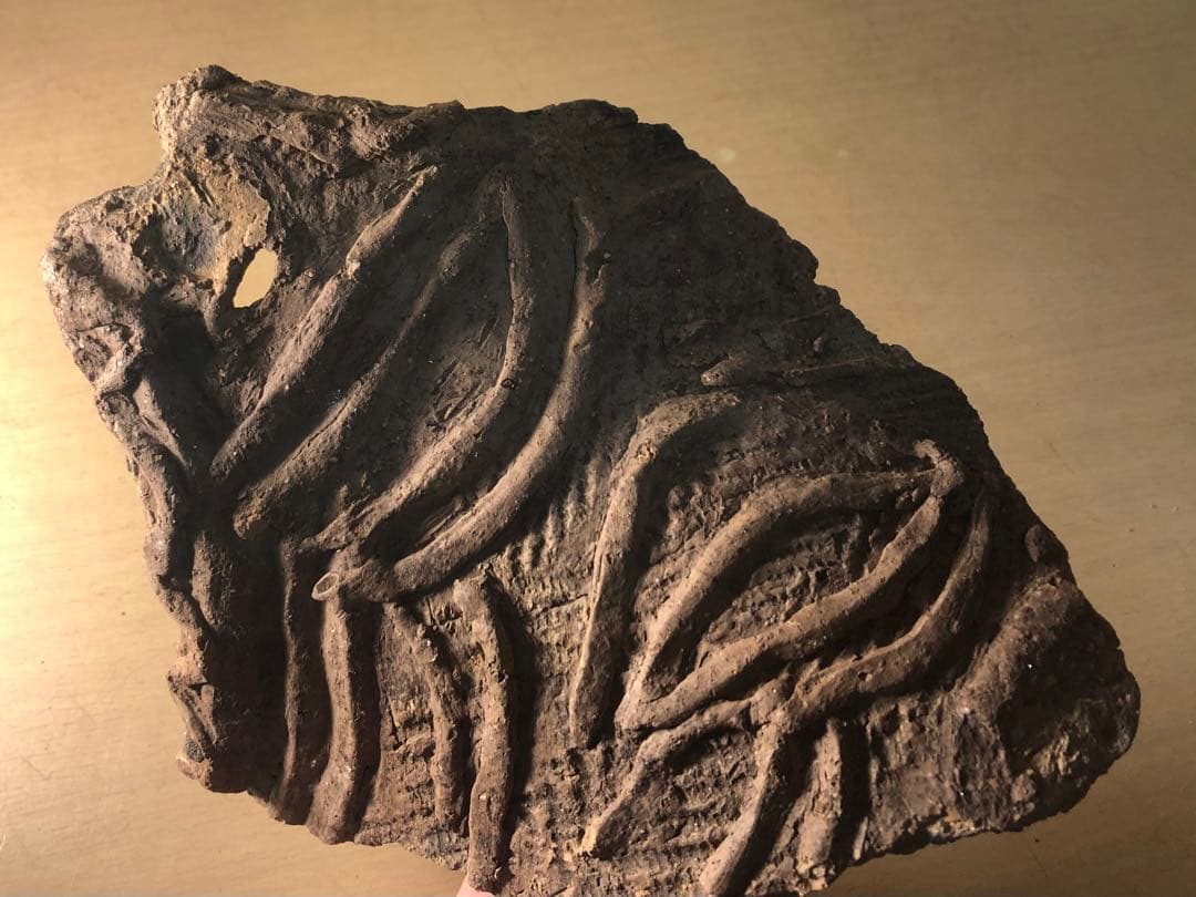 「縄文土器の欠片 No.531」です。