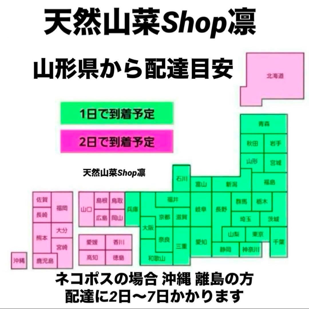 天然きのこ 松茸 国産 良品‼️ マツタケ まつたけ 大自然の凛さん採取その143