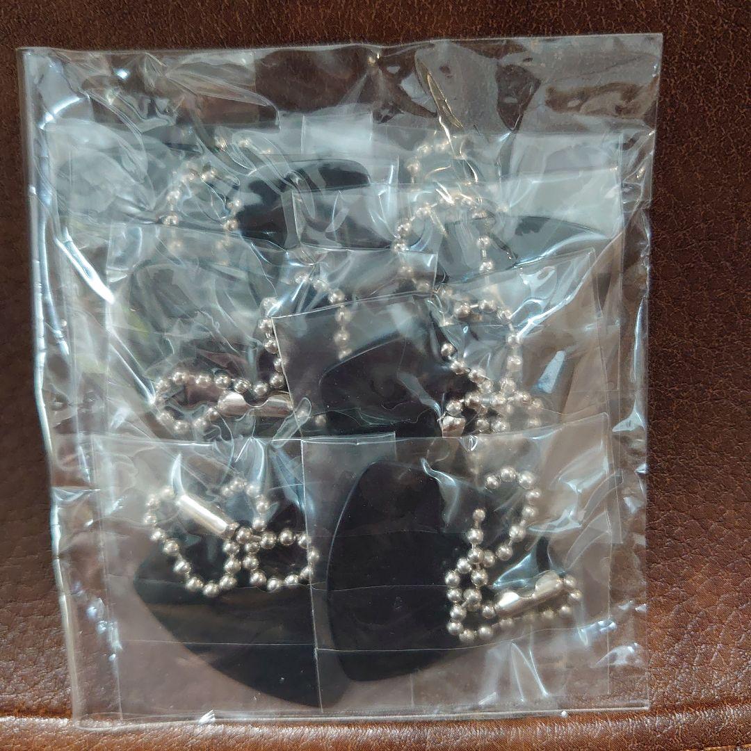 【激レア】G.W.ニコライ WINTERTOUR 2010-2011 公式グッズ