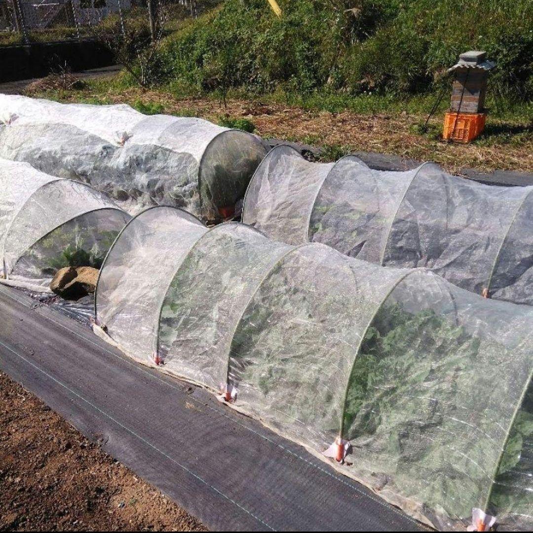 【希少！】ニホンミツバチの百花蜜の蜂蜜