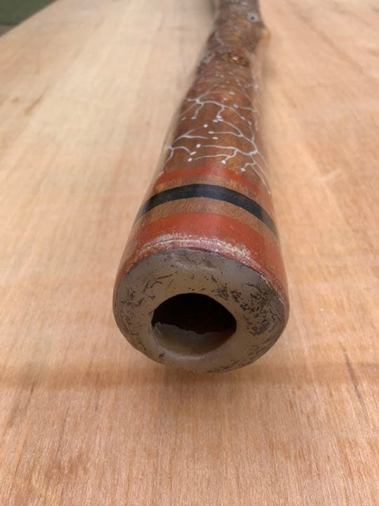 世界最古の金管楽器　ディジュリドゥ✴︎