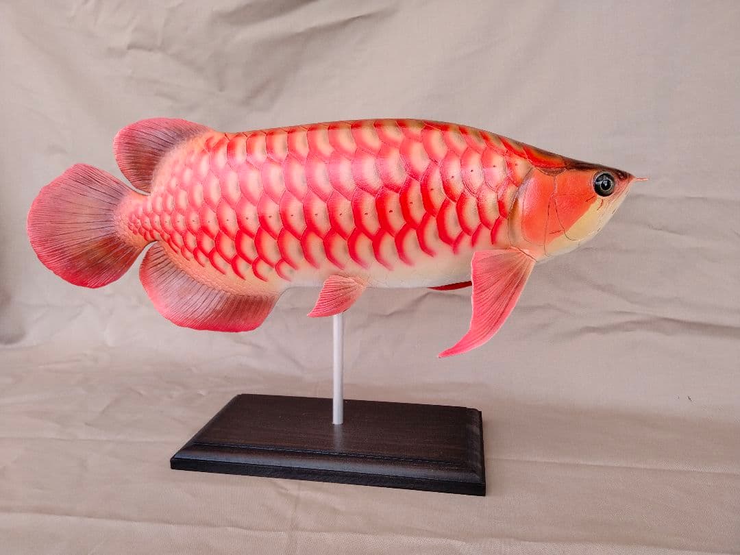 ハンドメイド　41cmアロワナ　レッド　フィギュア　レプリカ　熱帯魚　模型