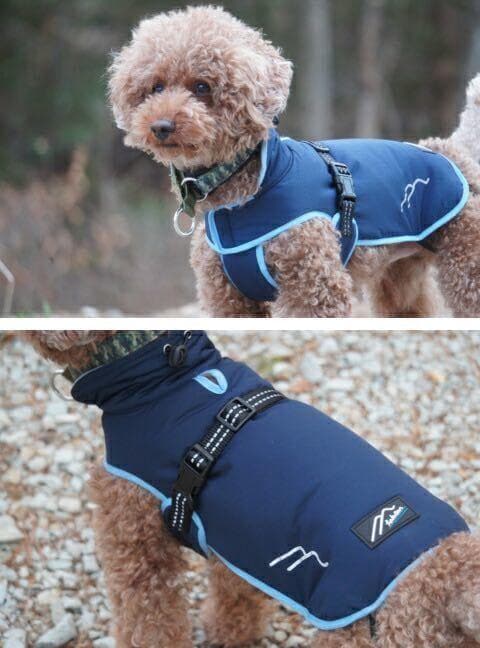 Hakusan ダウンジャケット　ゼロジャケット　60