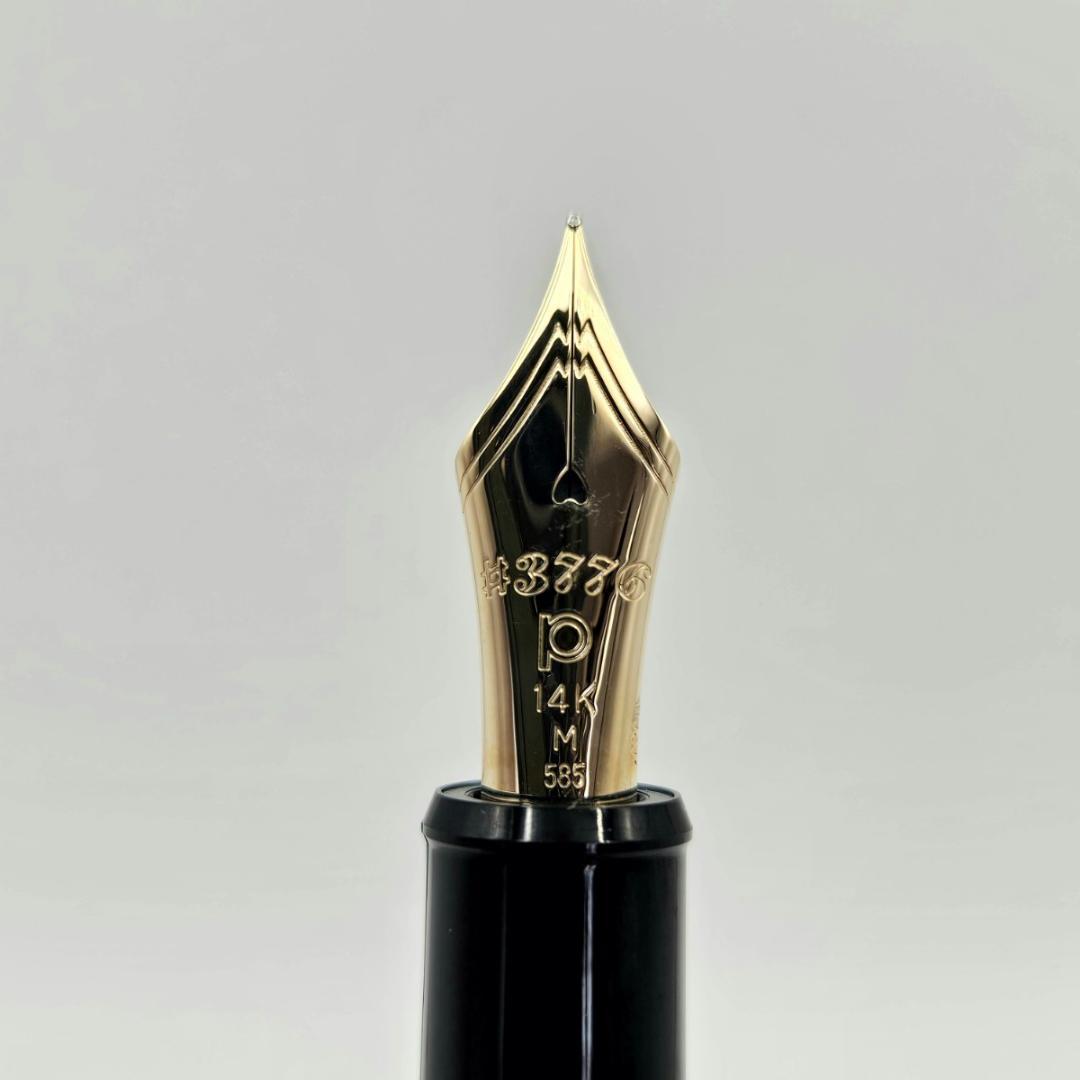PLATINUM 万年筆 #3776 センチュリー 14K 585 M ブラック
