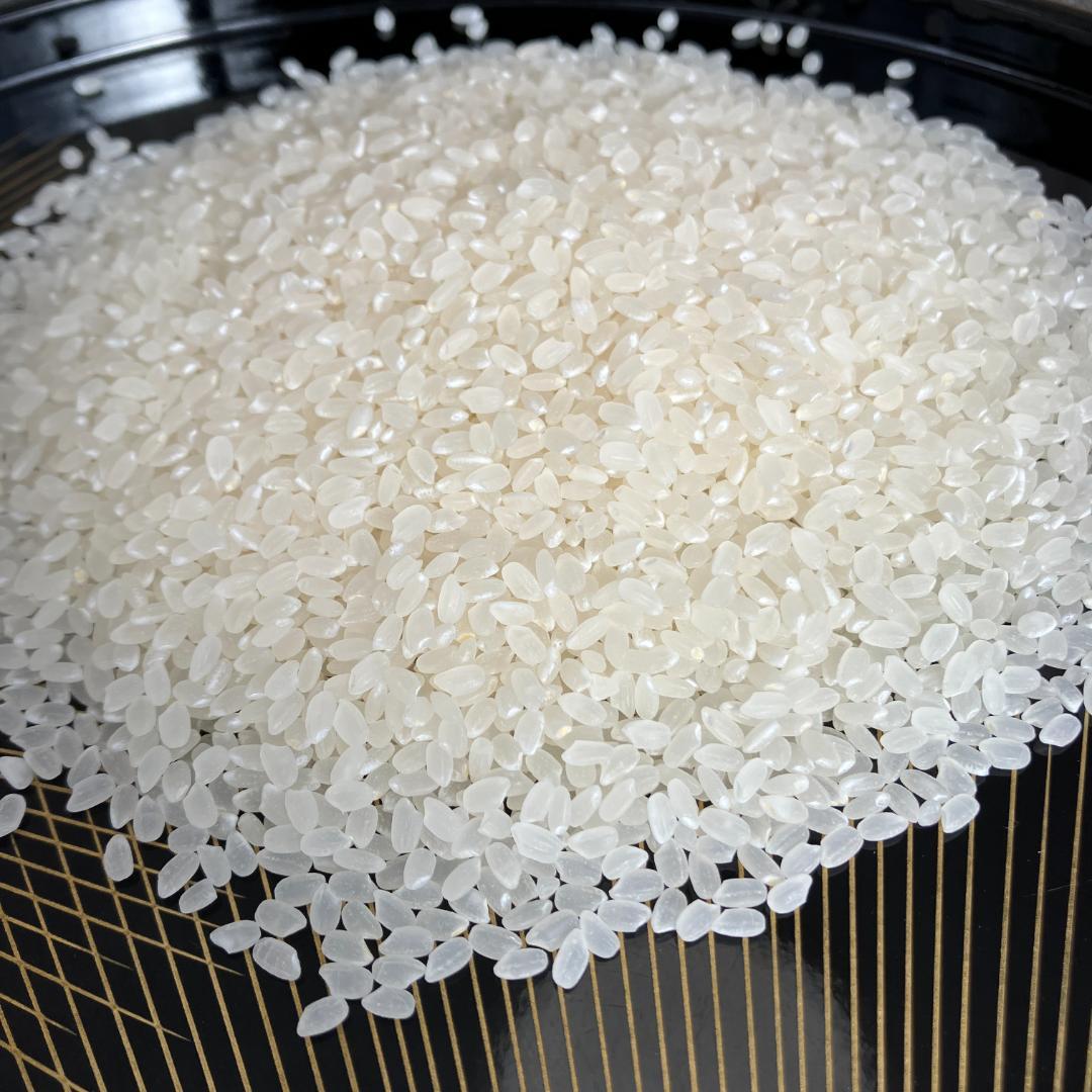 魚沼産コシヒカリ　令和7年産　白米　10キロ　米農家直送　送料無料①