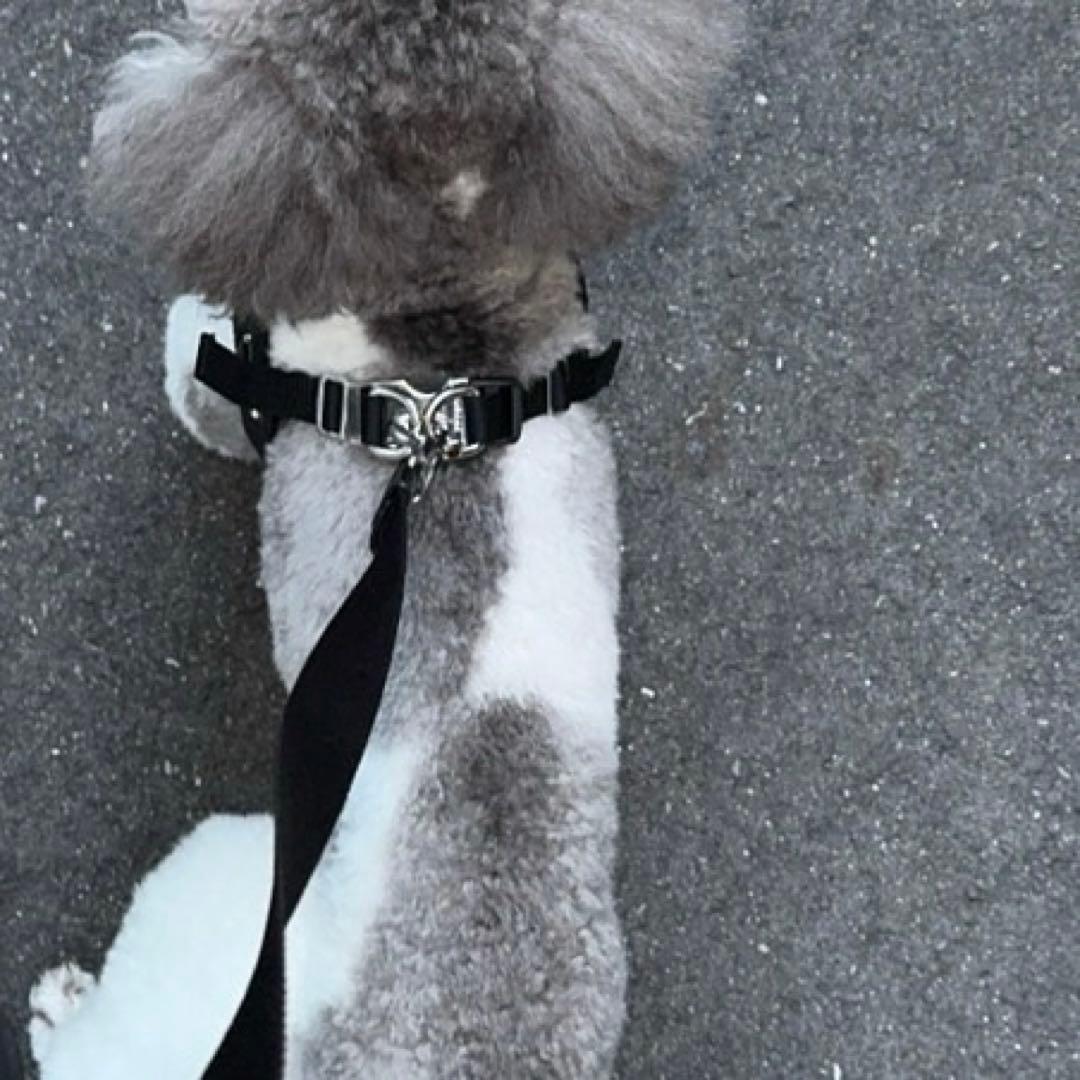 prada Sサイズ ブラック ナイロンハーネス