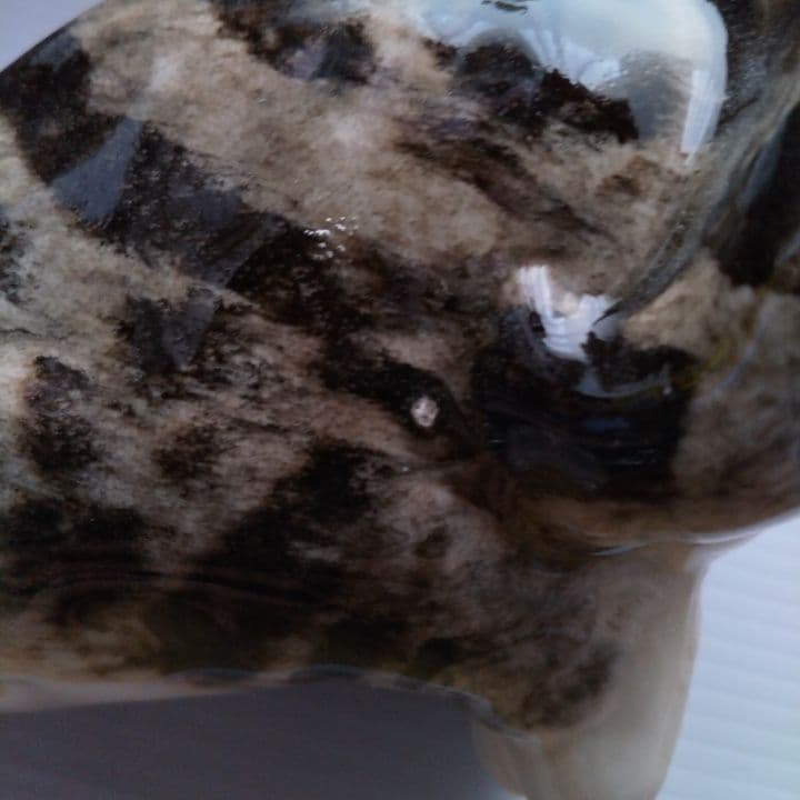 ウィンスタンレィ ケンジントンキャット