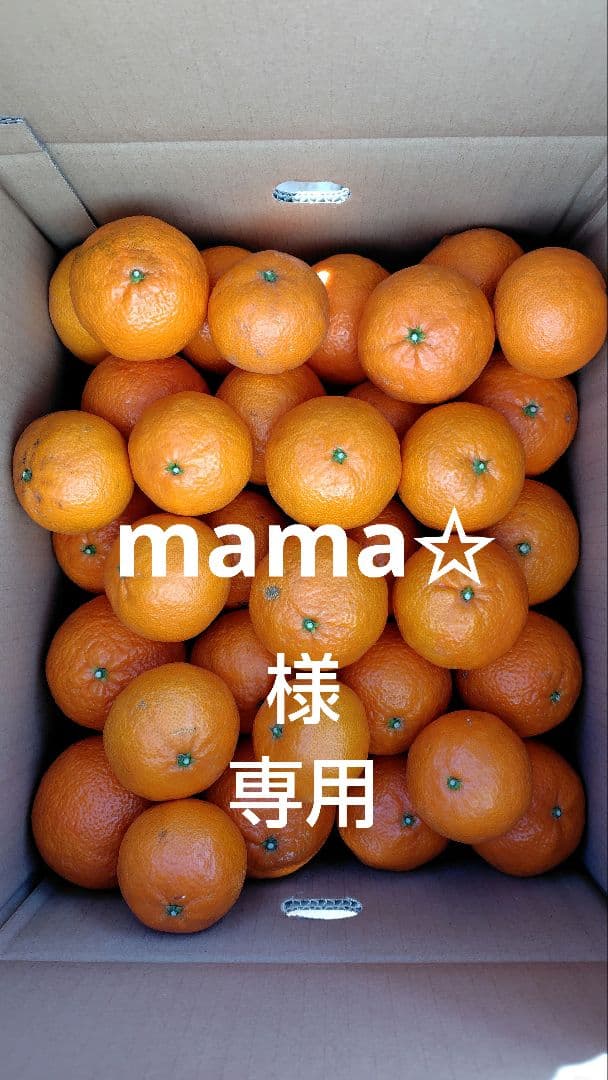 津之輝10㎏(家庭用)mama✩#7