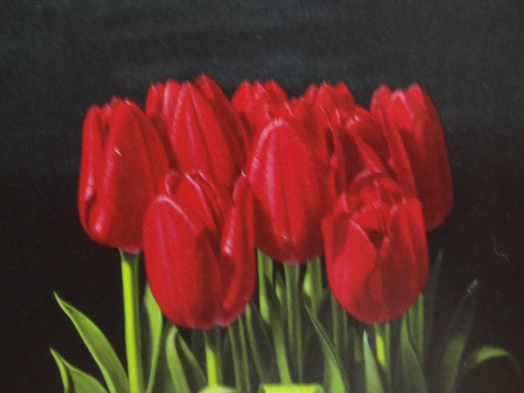 小澤 一正「日常の静物―チューリップー」希少画集より、状態良好、新品高級額装付