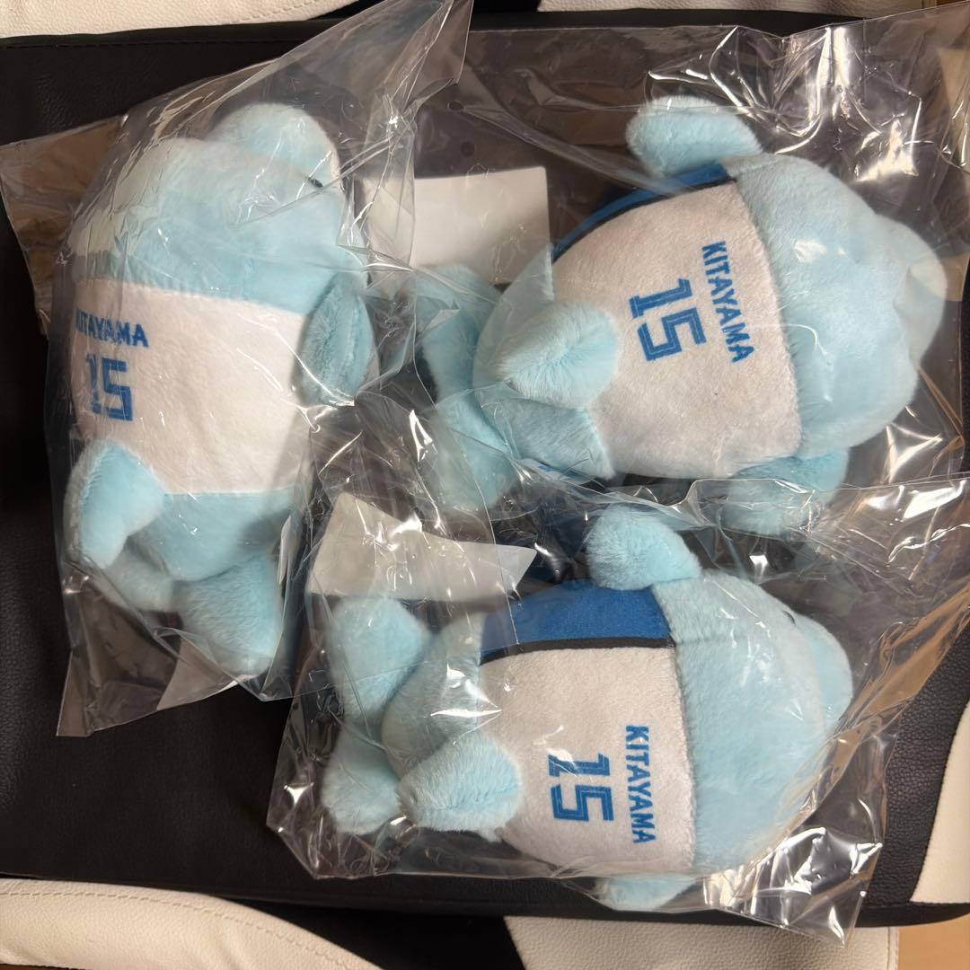 日本ハムファイターズ　キャンプ2026 ぬいぐるみ・ミニフォトセット