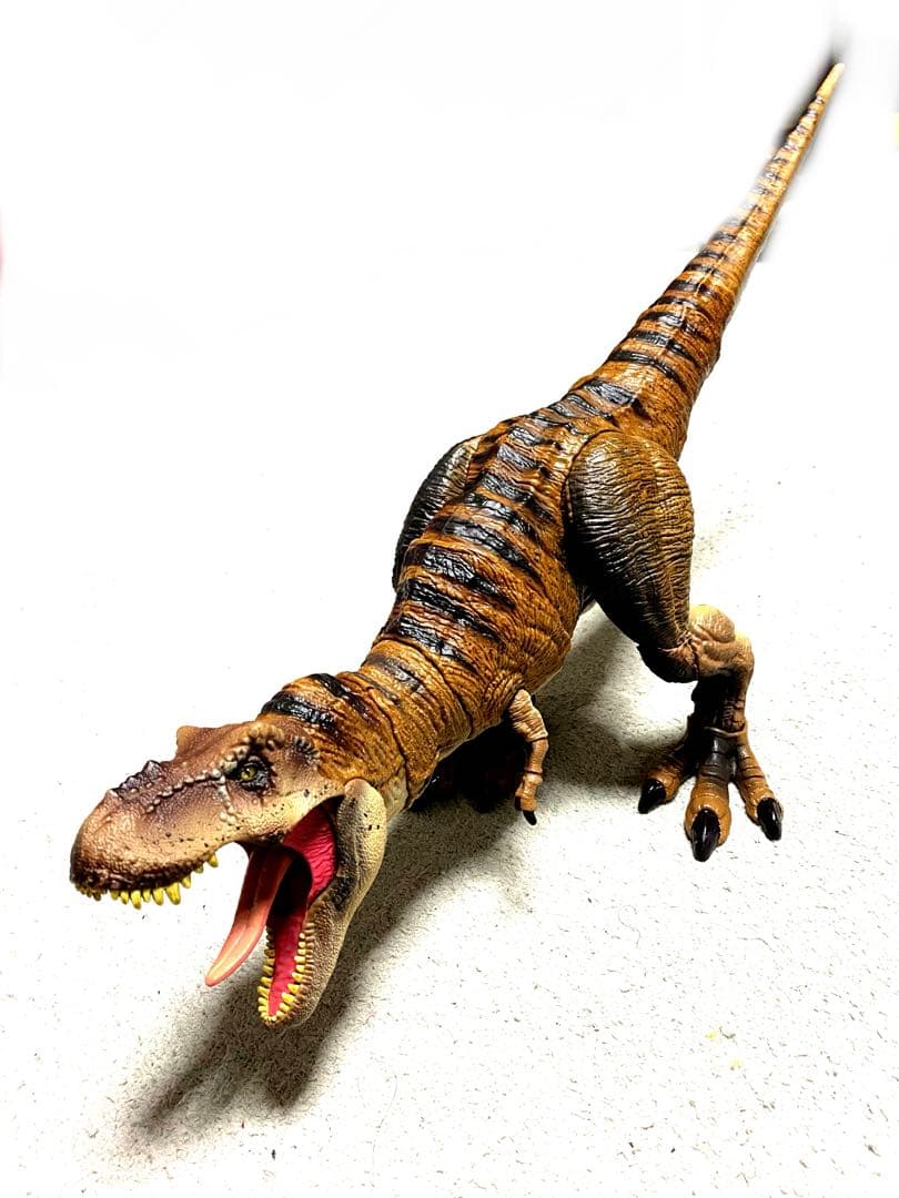 ハモンドコレクション　ティラノサウルス マテル