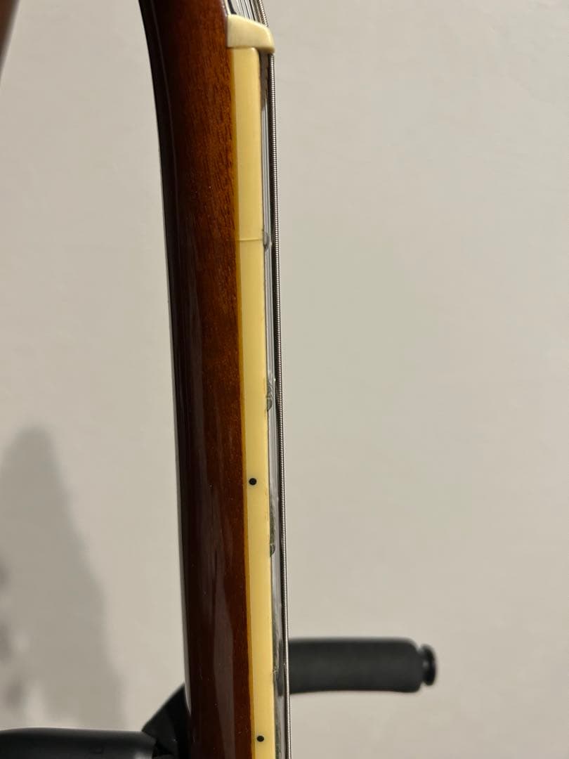 Epiphone エピフォン レスポール Standard PRO ケース付き