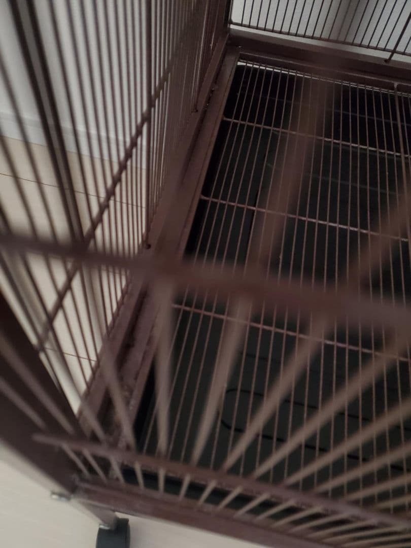 ３階建て広々ケージ　大型ケージ　チンチラフェレットリスデグー フクロモモンガ