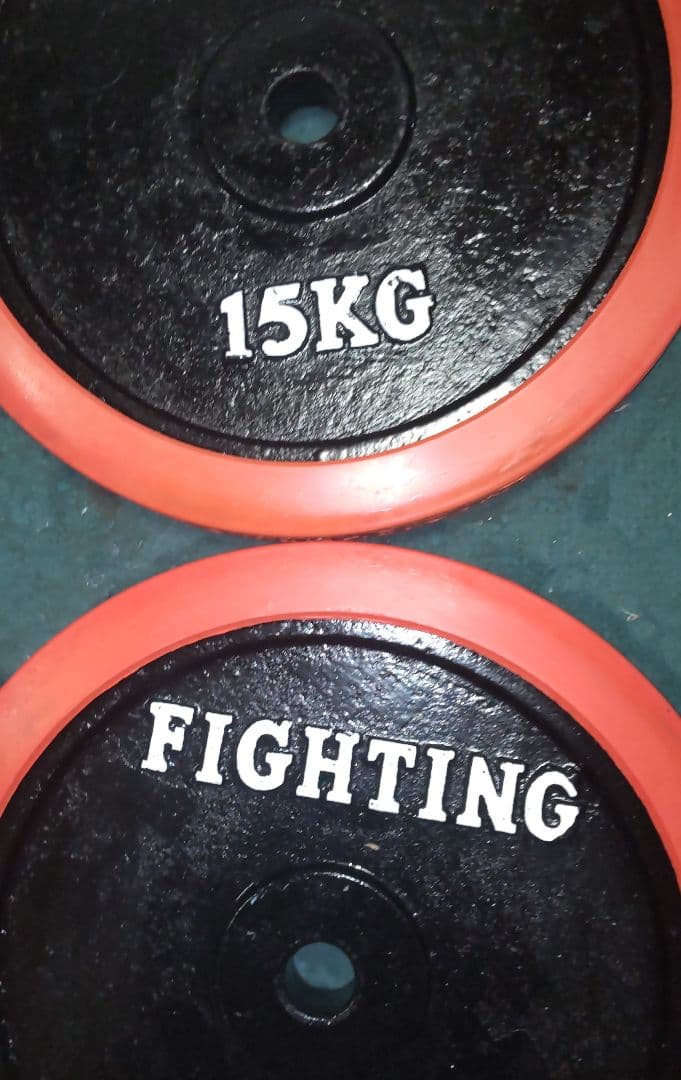 ファイティングロード 15kgプレート2枚 28mm 用