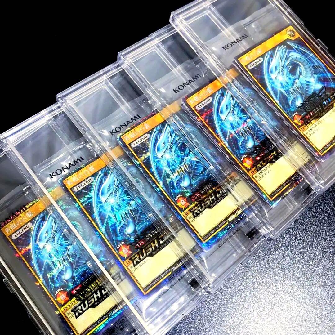 遊戯王　カード　未開封　引退品　プロモ　パック　字ズレ　ファイル　青眼の白龍　5