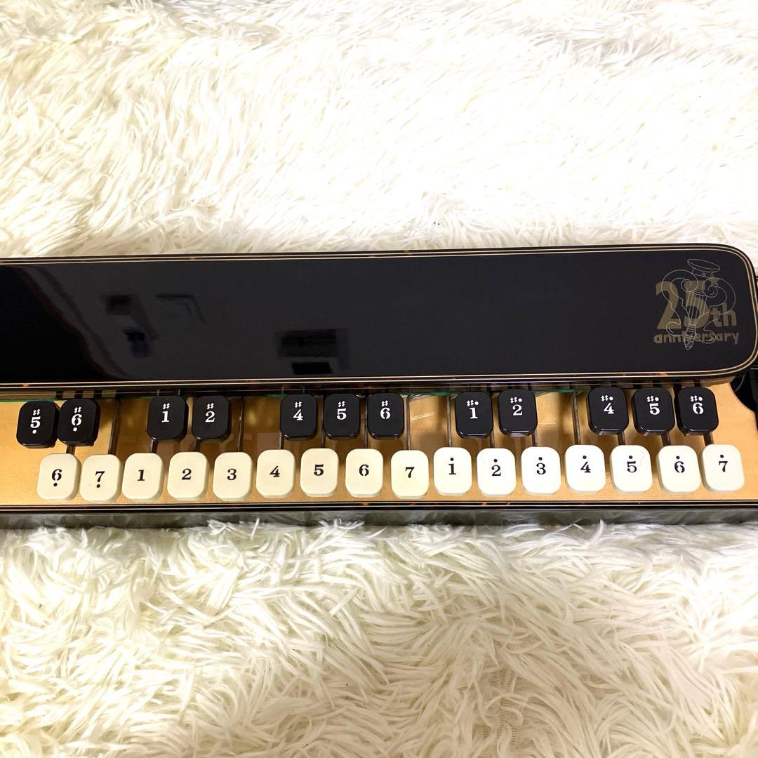 高級大正琴 ライリッシュ LSS25TH Lyrissh ソフトケース 和楽器