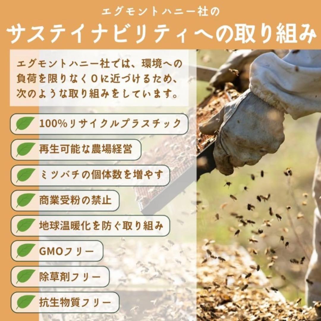 【希少な最高グレード】エグモント マヌカUMF25+/MGO1200+ 250g