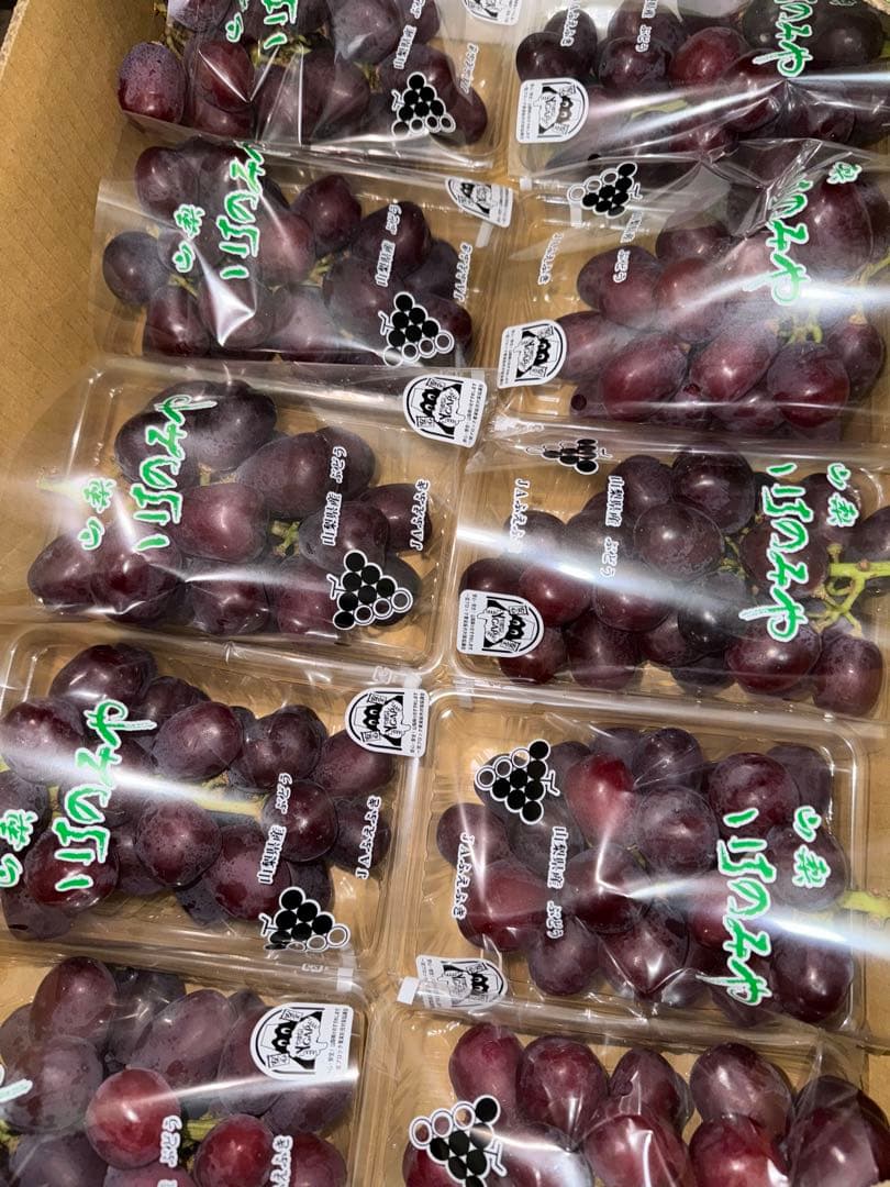 山梨県産ぶどう富士の輝ブラックシャインマスカット10パック入り箱込み約4.8キロ