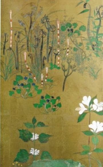 尾形光琳、四季草花図屏風、超希少・大判画集画