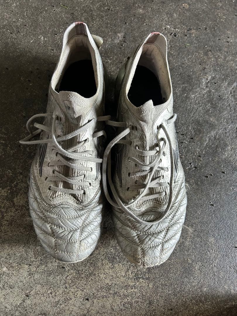 モレリアネオⅢβ