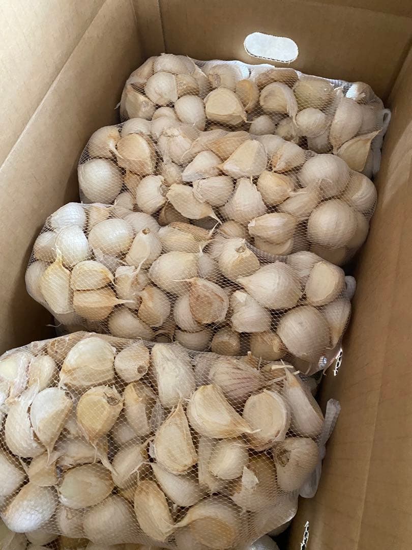 新物　青森県にんにくバラ10Kg ML早い者勝ち