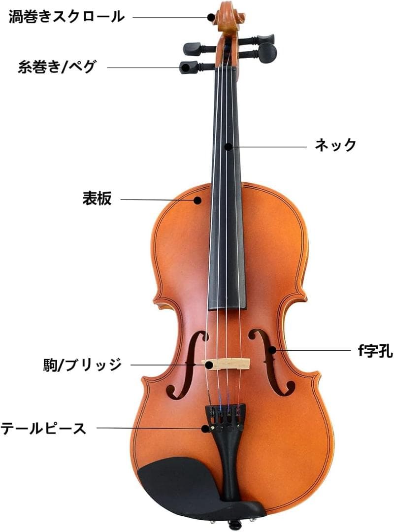 【M2312-117-84】3/4 初心者バイオリンセット 弓2本付