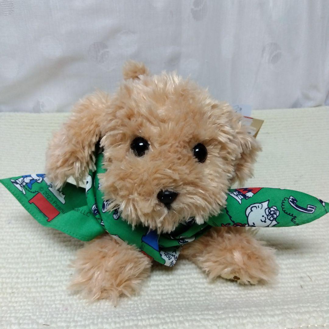 ふわふわモコモコ·͜·ᰔᩚひざわんこ トイプードル