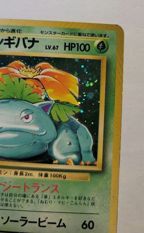 フシギバナ ★ 第1弾拡張パック　初版　マークなし